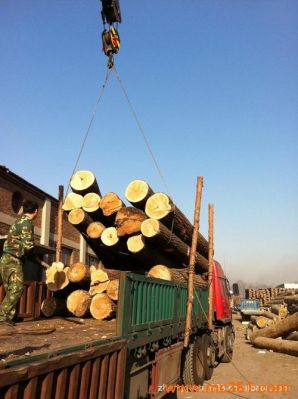 木工加工的木材都是哪里买的？浙江大量收购松木-图1