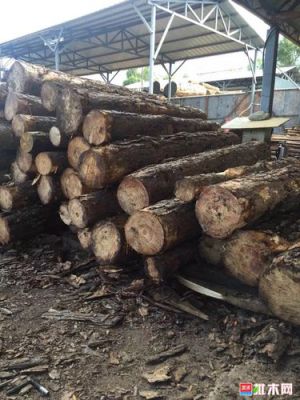 哪个工厂可以收购大量松木？收购松木板芯-图3