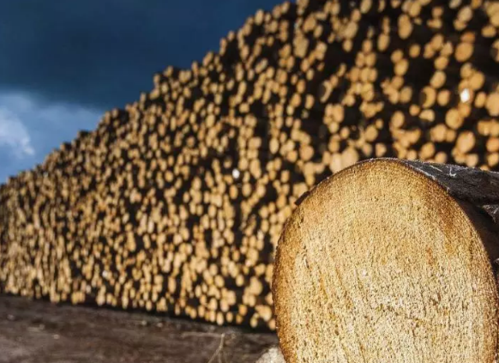 压缩木材燃烧有毒的范围有多远？怎么分辨压缩木料-图2