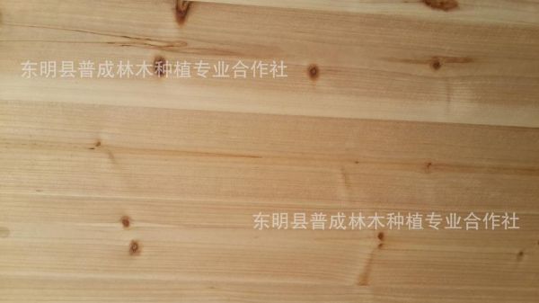 铁杉木拼板用的胶水？贵州杉木拼版厂-图3