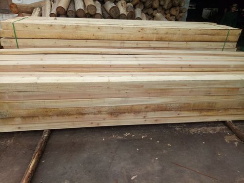 一立方杉木能锯出多少方板材？杉木工程方-图3