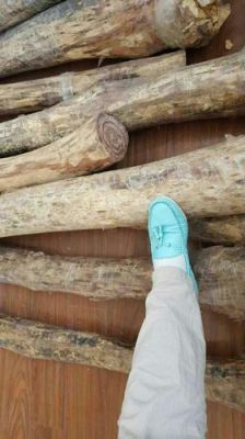 印度尼西亚做木材生意？印度哪里可以买到木料