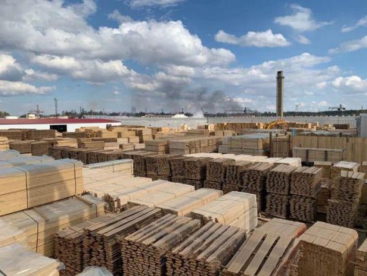谁知道怎么进口俄罗斯木材？在俄罗斯进木料-图3