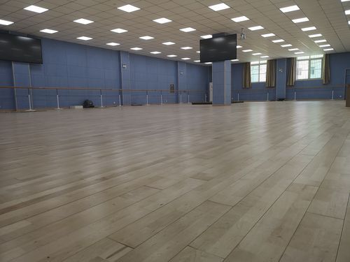 舞蹈室地板找欧氏地板（舞蹈室地板用什么材料）-图1
