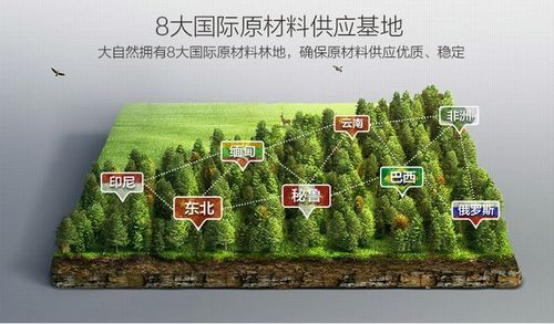 关于强化森林地板的信息-图1