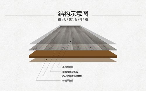 复合地板长度（复合地板长度多少合适）-图3