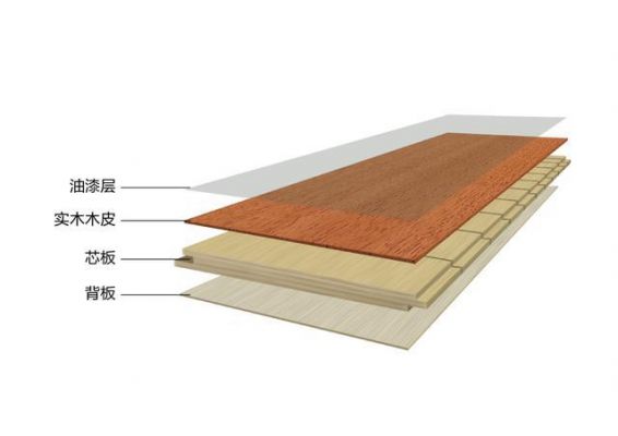 实木地板的构造（实木地板的构造层次）-图1