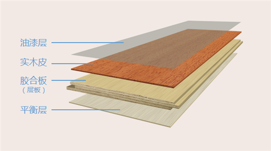 实木地板的构造（实木地板的构造层次）-图2