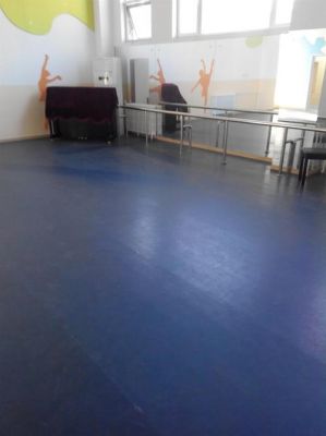 舞蹈房用什么地板（舞蹈室用什么木地板）-图2