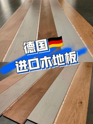 德国木地板（德国木地板品牌）-图3