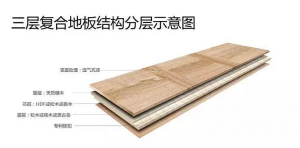 木地板有哪些木材（木地板有哪些木材组成）-图1