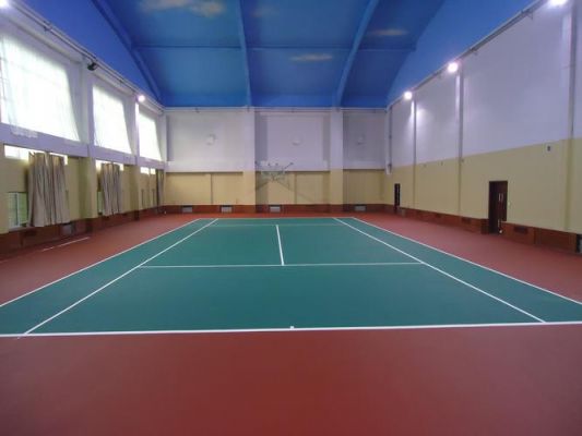网球室内地板（网球地面用什么材料）-图2