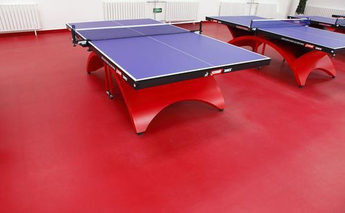 专业乒乓球地板（乒乓球地面什么材料的好）-图3