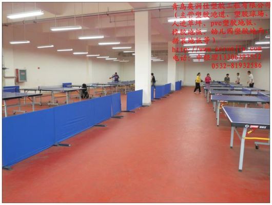 专业乒乓球地板（乒乓球地面什么材料的好）-图2