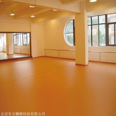 舞蹈教室地板用什么好（舞蹈教室用地板还是地胶）-图2