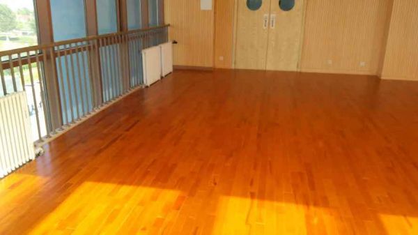 舞蹈室用木地板的好处（舞蹈室用木地板的好处和坏处）-图3