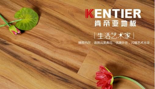 肯帝亚地板（肯帝亚地板是中国几线品牌）-图1