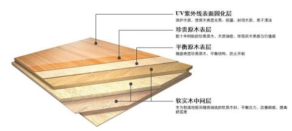 多层地板地板厚度（多层地板的厚度）-图2