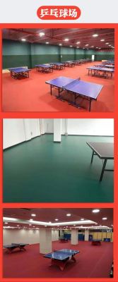 乒乓球专用地板胶（乒乓球室专用地板胶哪家好）-图1
