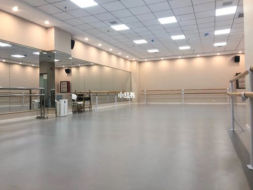 专业舞蹈木地板（中国舞舞蹈室用木地板好还是地胶好）-图3