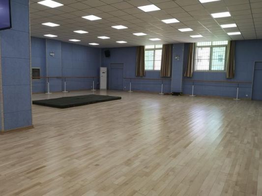舞蹈室用什么木地板（舞蹈室用什么木地板好看）-图2