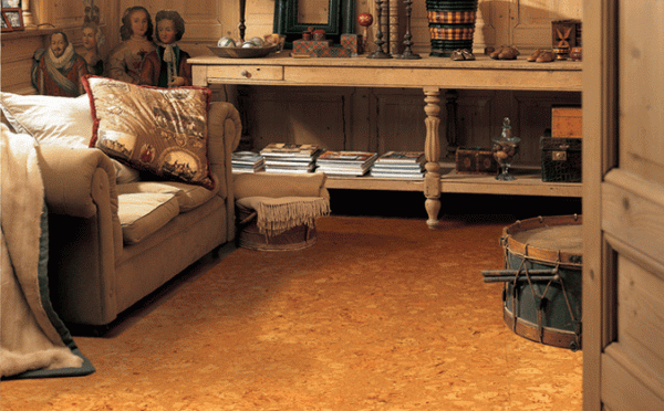 葡萄牙进口软木地板（corkart软木地板 葡萄牙）-图2