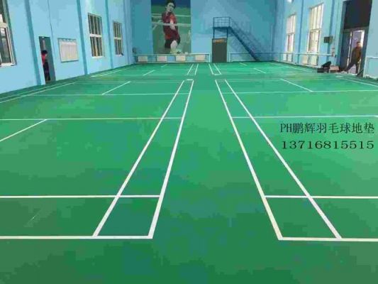 羽毛球场胶地板（羽毛球场地胶多少钱一平米）-图3